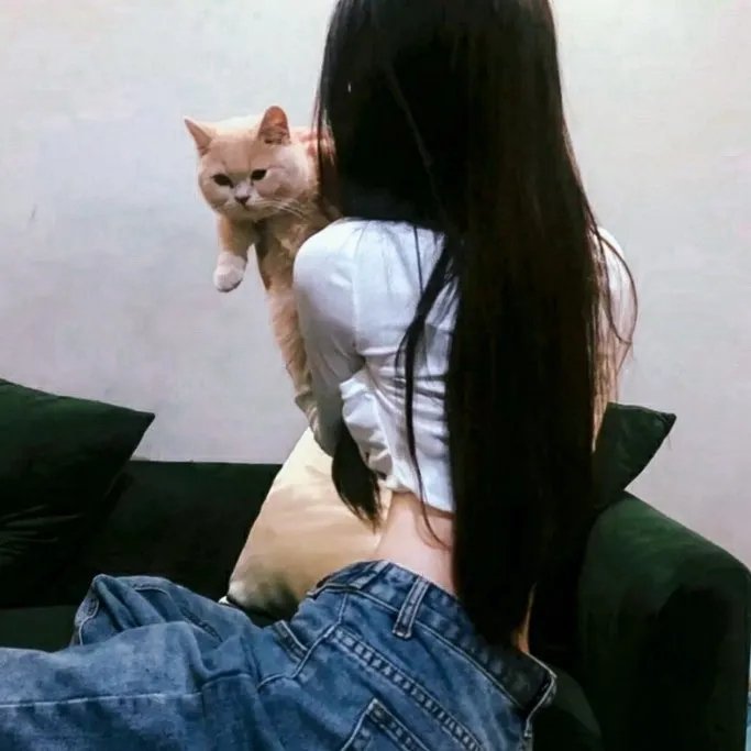 谁杀了甘迺迪